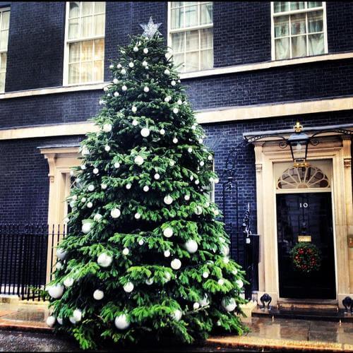 Cmas Tree